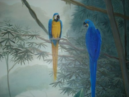 "Edenia"